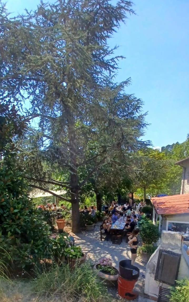 Ala Di Maniero In Agriturismo Valdrago In Toscana, Nel Verde Mugello Sulle Colline Di Firenze Борго Сан Лоренцо Екстериор снимка