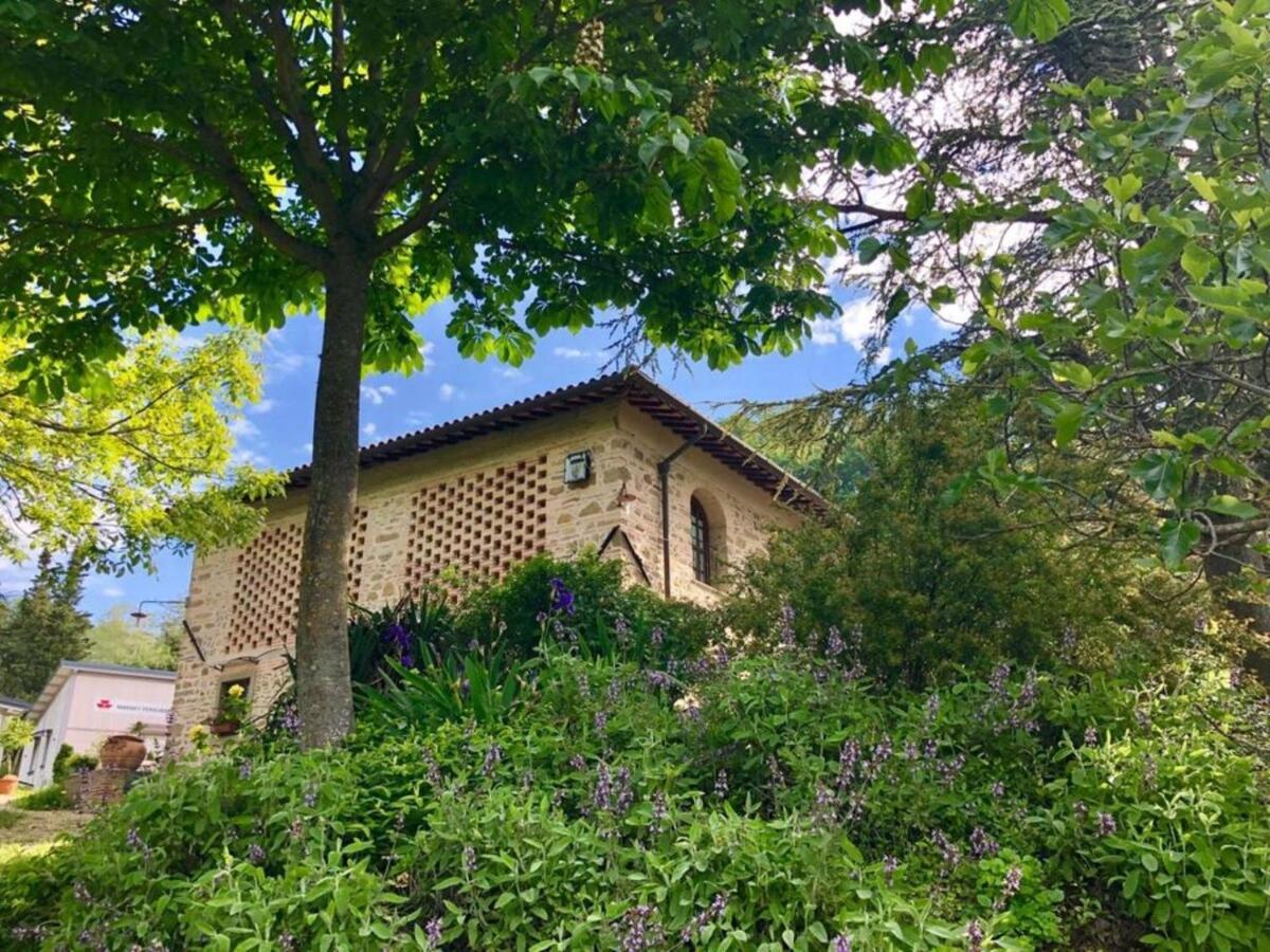 Ala Di Maniero In Agriturismo Valdrago In Toscana, Nel Verde Mugello Sulle Colline Di Firenze Борго Сан Лоренцо Екстериор снимка