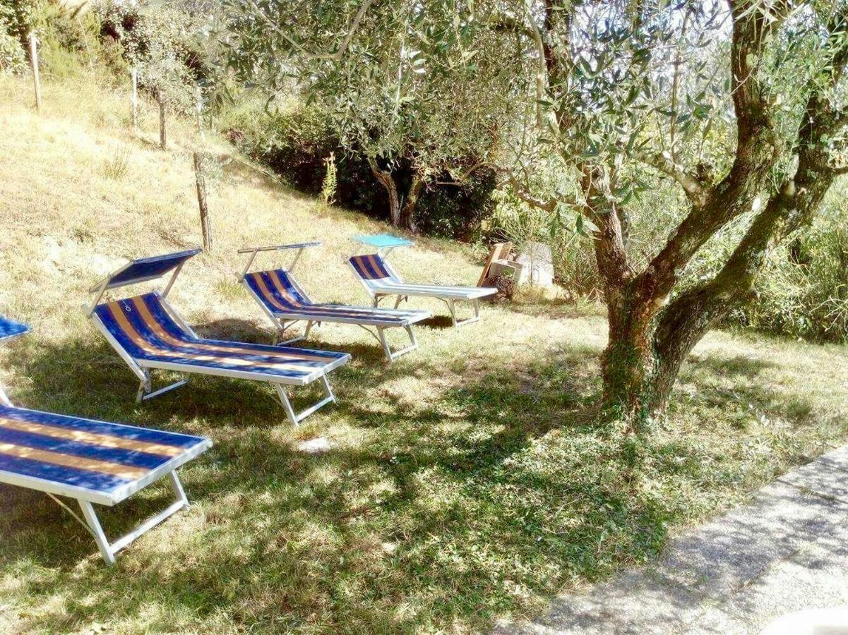 Ala Di Maniero In Agriturismo Valdrago In Toscana, Nel Verde Mugello Sulle Colline Di Firenze Борго Сан Лоренцо Екстериор снимка