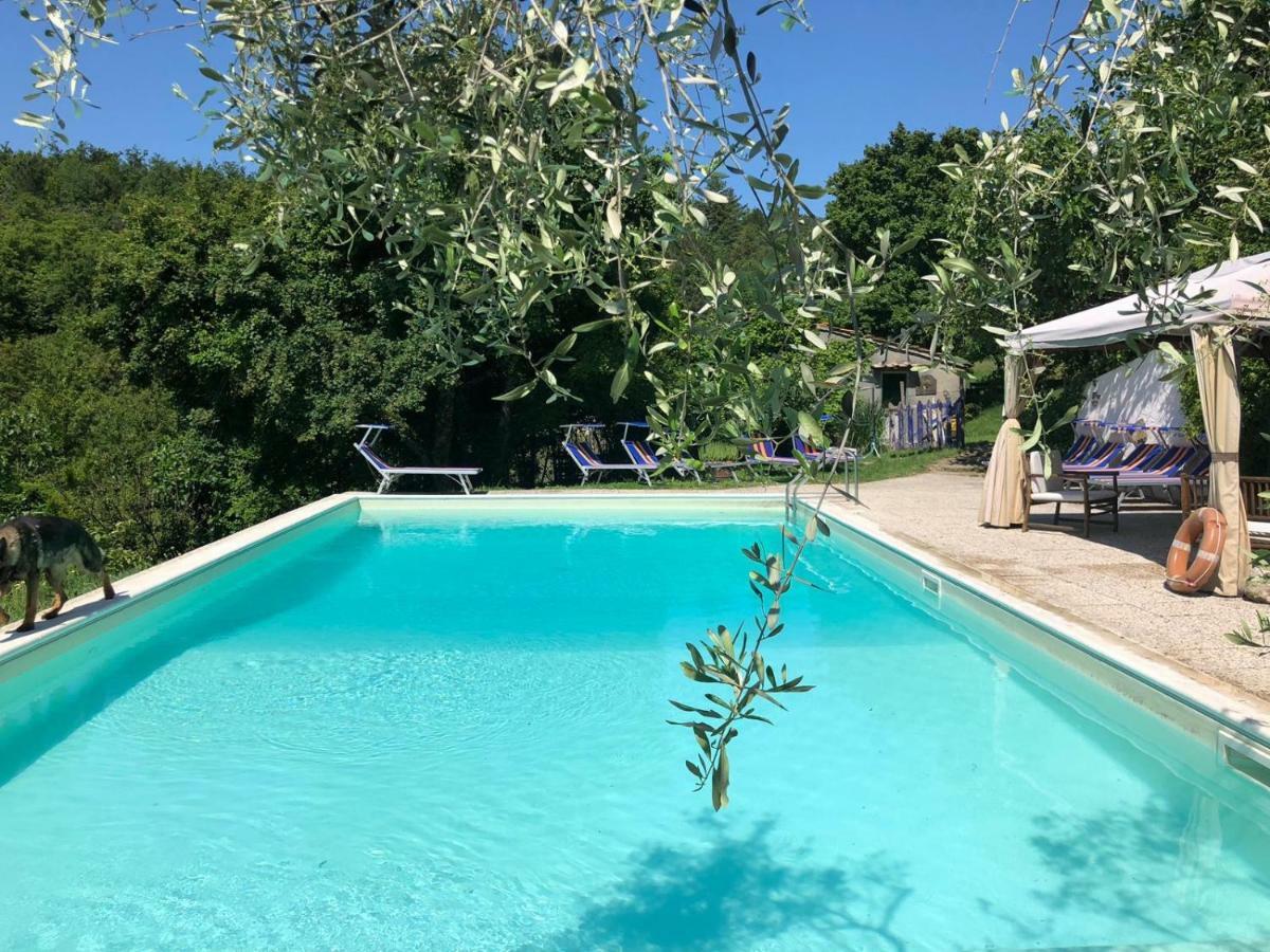 Ala Di Maniero In Agriturismo Valdrago In Toscana, Nel Verde Mugello Sulle Colline Di Firenze Борго Сан Лоренцо Екстериор снимка
